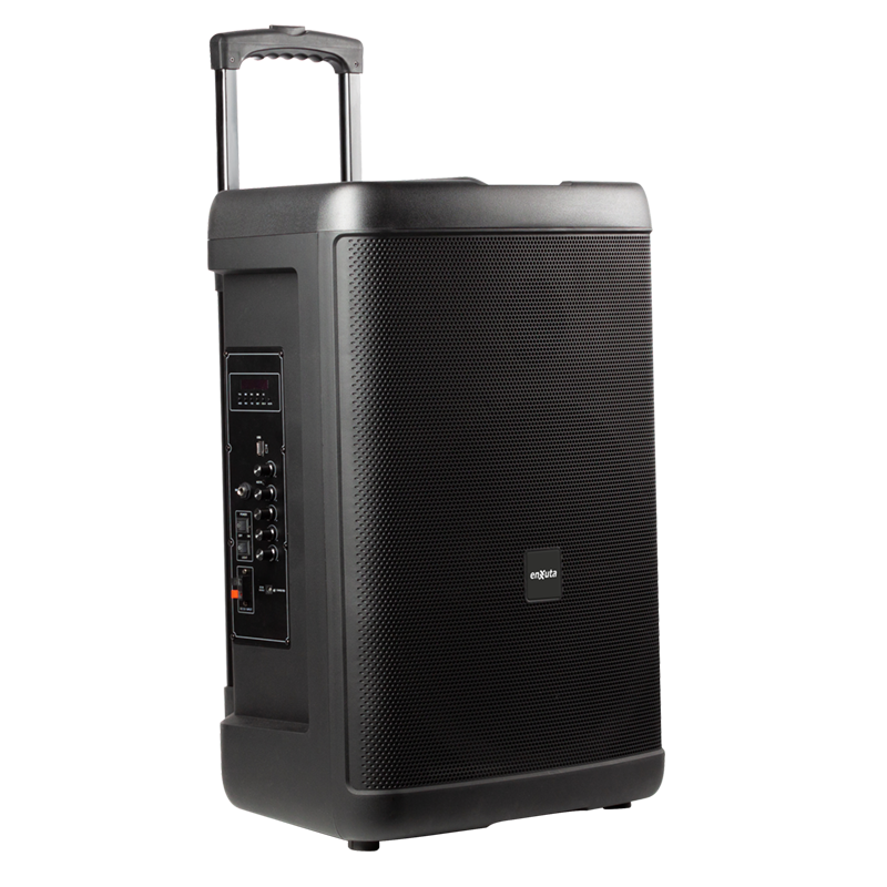 Party Box Portátil 15 Pulgadas 500 Watts PMPO