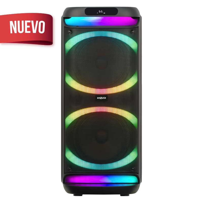 Party Box Portátil 2 x 10 Pulgadas 1.000 Watts PMPO