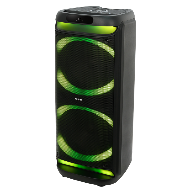 Party Box Portátil 2 x 10 Pulgadas 1.000 Watts PMPO