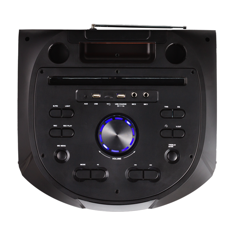 Torre de Sonido 2 x 12 Pulgadas 800 Watts PMPO