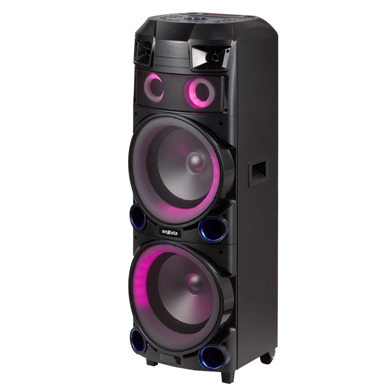 Torre de Sonido 2 x 12 Pulgadas 800 Watts PMPO