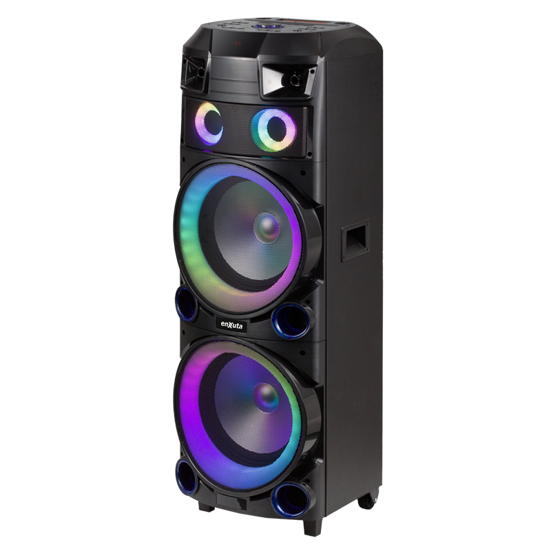 Torre de Sonido 2 x 12 Pulgadas 800 Watts PMPO