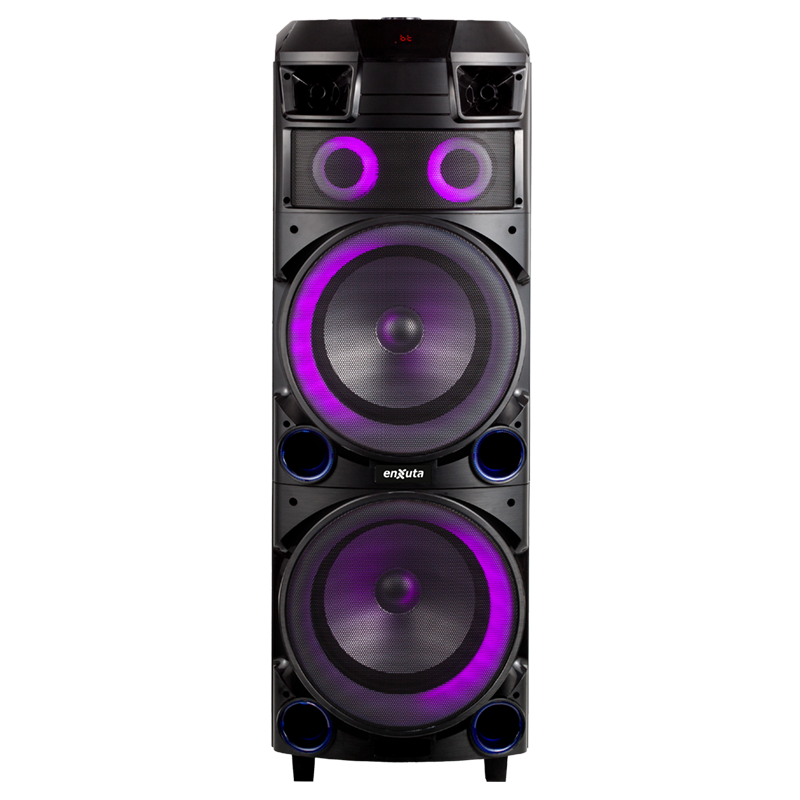 Torre de Sonido 2 x 12 Pulgadas 800 Watts PMPO